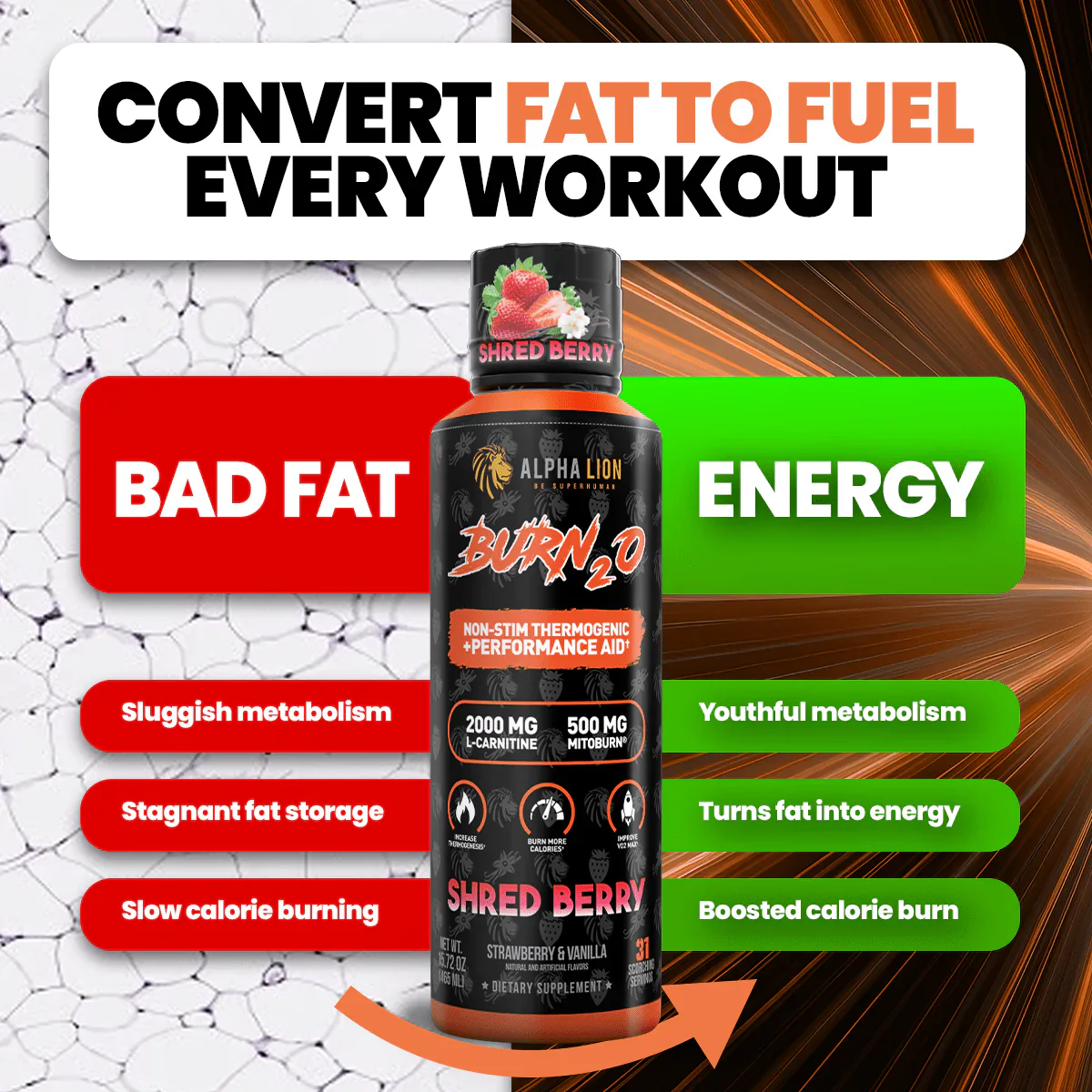 Alpha Lion Burn2.0 Stim-Free Liquid Thermogenic and Performance Aid - Image 10