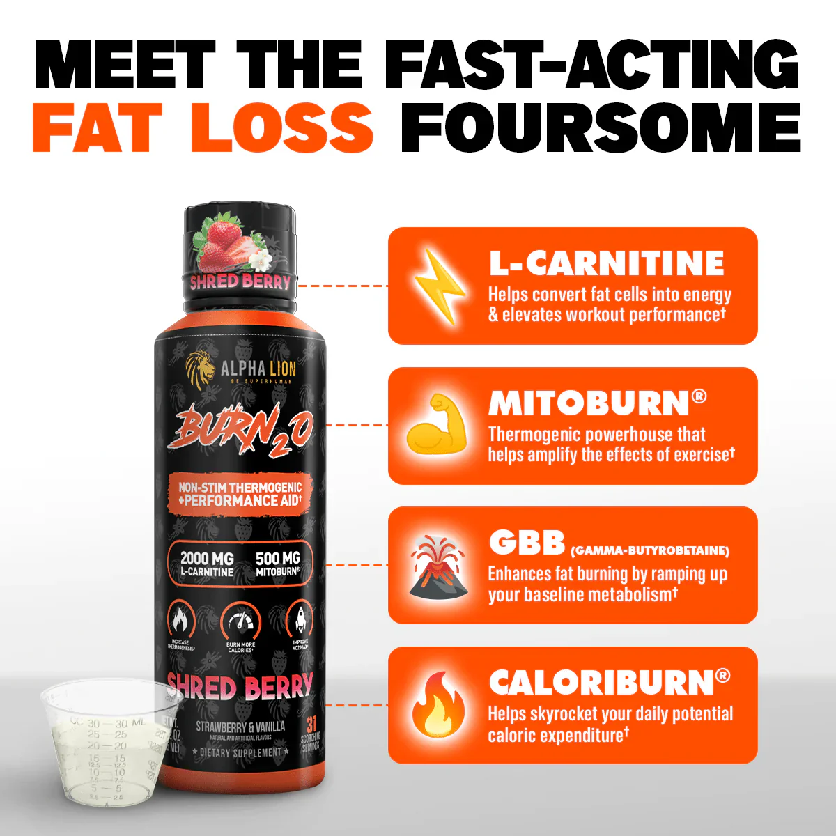 Alpha Lion Burn2.0 Stim-Free Liquid Thermogenic and Performance Aid - Image 7